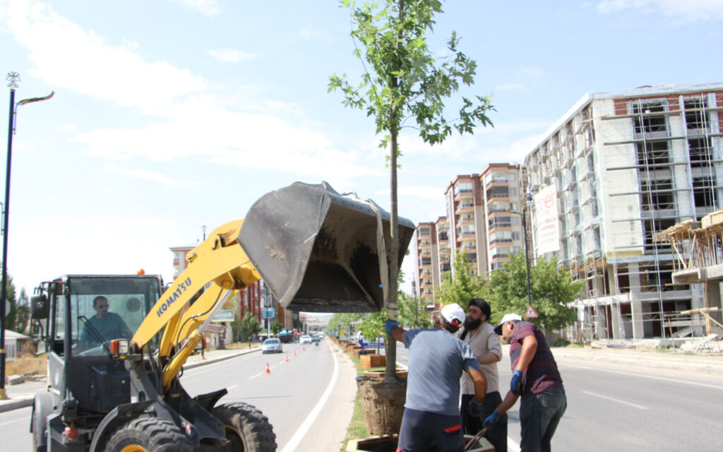Sivas’ta Bağdat Caddesi’nde ağaçlandırma