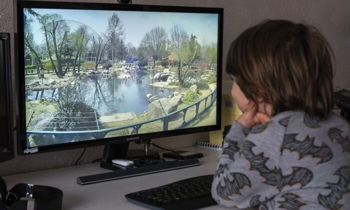 Bursa ZOOPARK’a uzaktan ziyaret