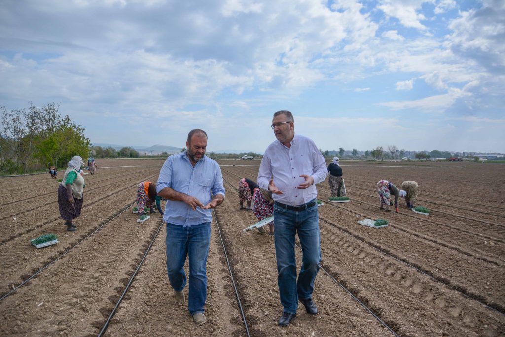 Karacabey domatesi hedef büyütüyor