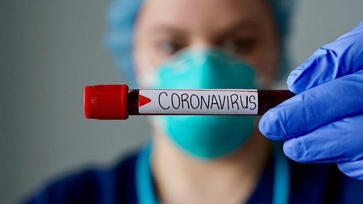 Coronavirüs genetik bir polisiye