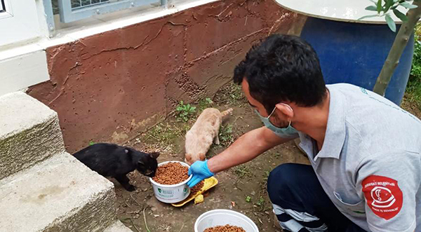 Osmangazi sokakların da dostu oldu