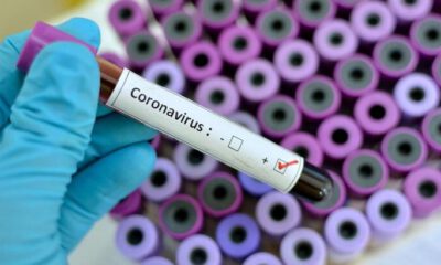 Coronavirüs’e 19 kurban daha