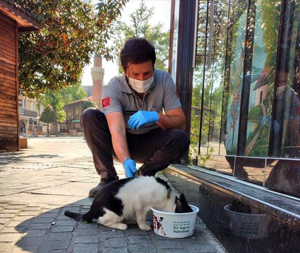 Sokak hayvanlarına Osmangazi’den yardım
