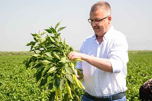 Karacabey’in yıldızı pandemide parladı