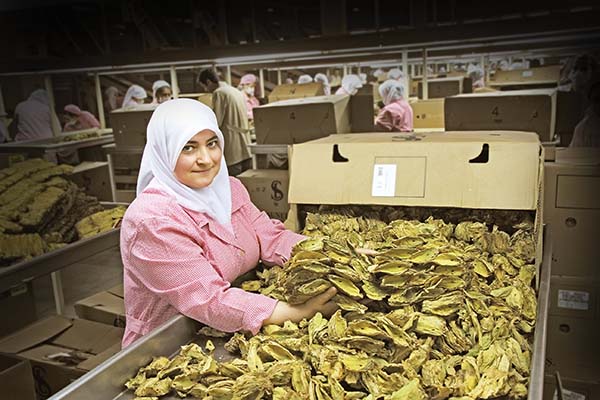 Tütün kararı sektöre yarayacak