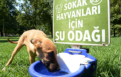 Osmangazi’den can dostlara yakın ilgi