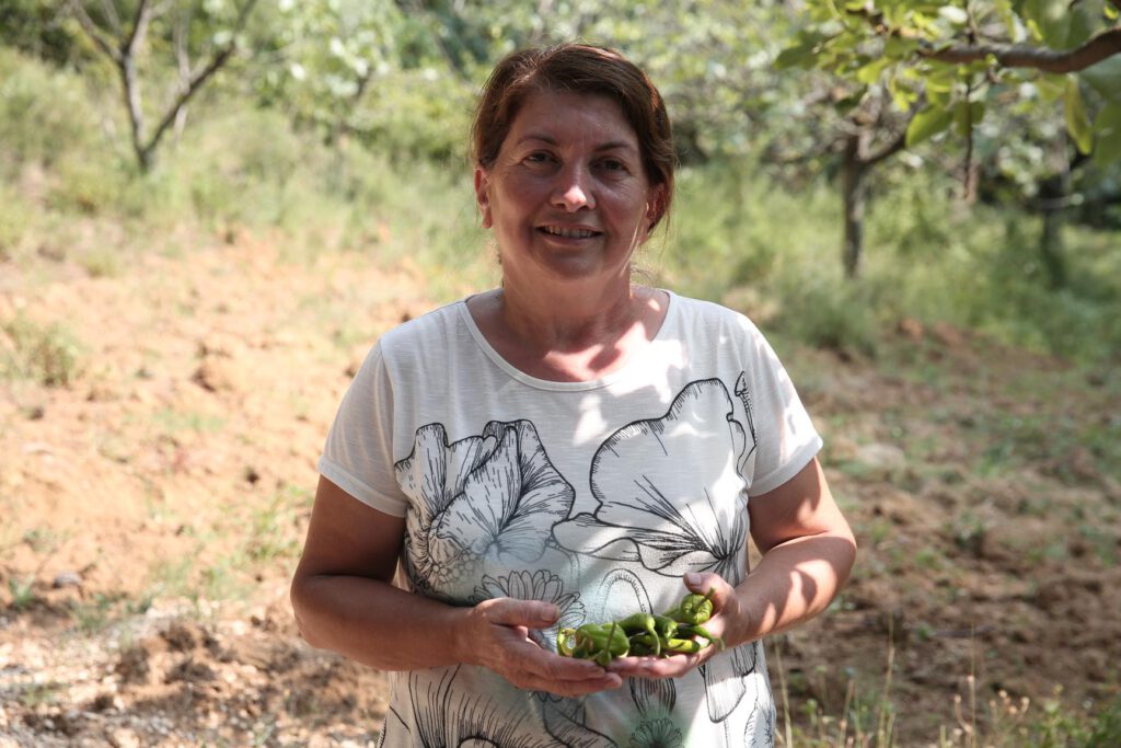 Nilüfer’in fideleri ürünlerini verdi