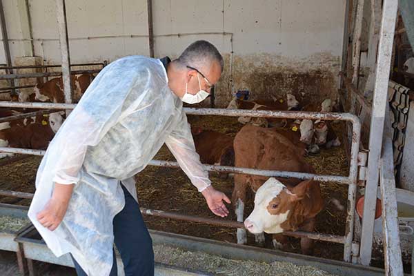 Karacabey’de çiftlikler sınıfı geçti