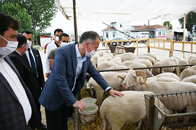 İnegöl hayvan pazarında bayram hareketliliği