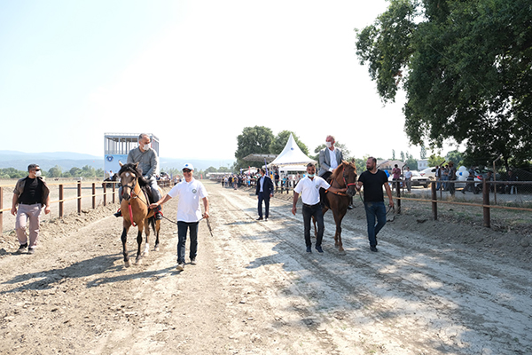 Rahvan atlarına ‘büyük’ destek