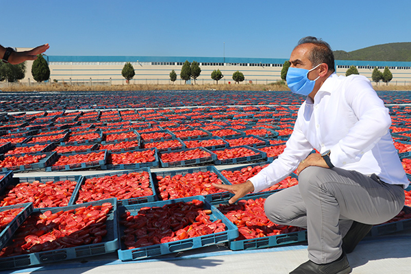 Egeli ihracatçılar üretimin ‘meyve’sini topluyor