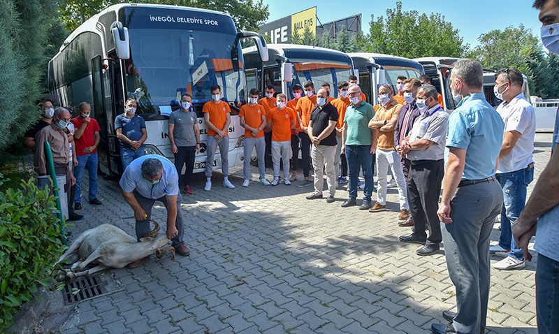 İnegöl Belediyespor yeni sezon için kurban kesti