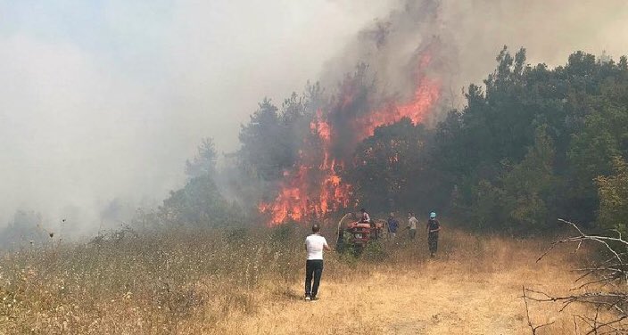 Bursa Valiliği’nden yangın açıklaması