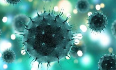 Coronavirüs’te can kaybı 6 bin 245’e yükseldi