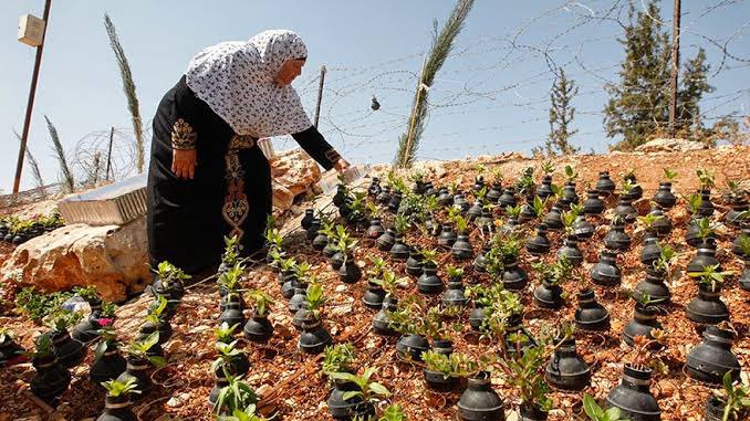 İsrail’in bombalarından çiçek fışkırıyor