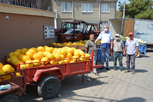 Kavun, üreticiyi güldürdü