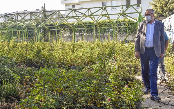 Karacabey’de tıbbi ve aromatik bitki üretimine teşvik