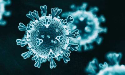 Coronavirüs’e 88 kurban daha