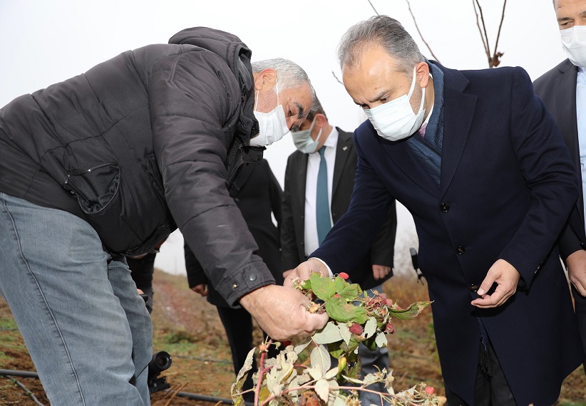 Bursa ahudududa marka olacak