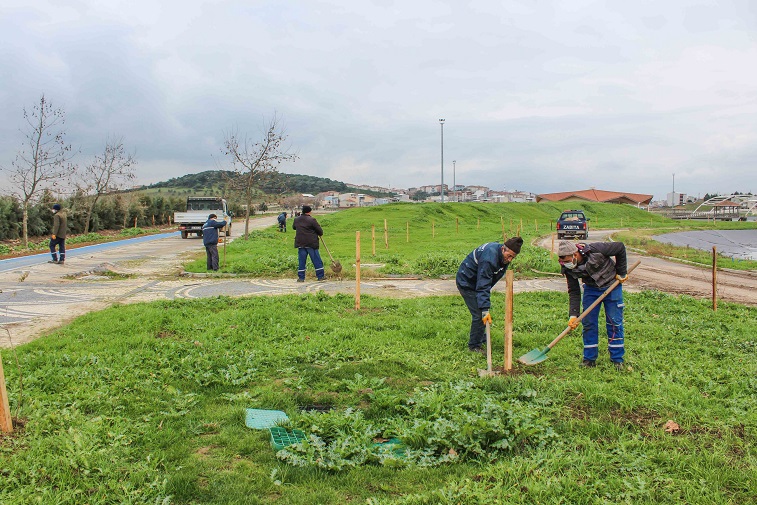 Karacabey’de fidan seferberliği