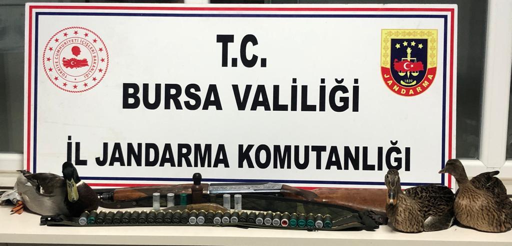 Bursa jandarması ördekleri kurtardı