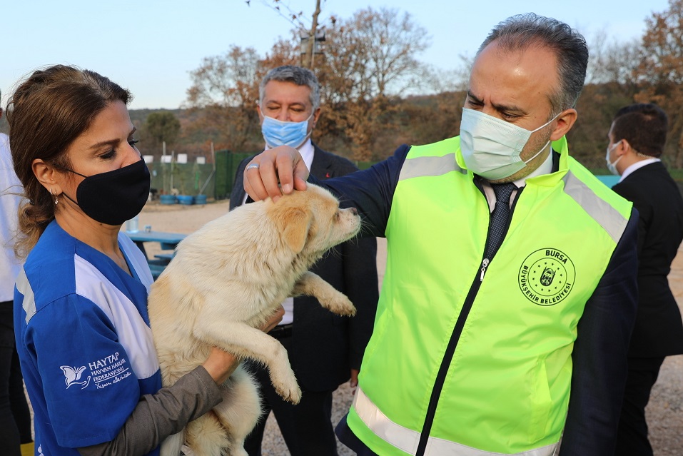 Emekli hayvanlara özel ziyaret