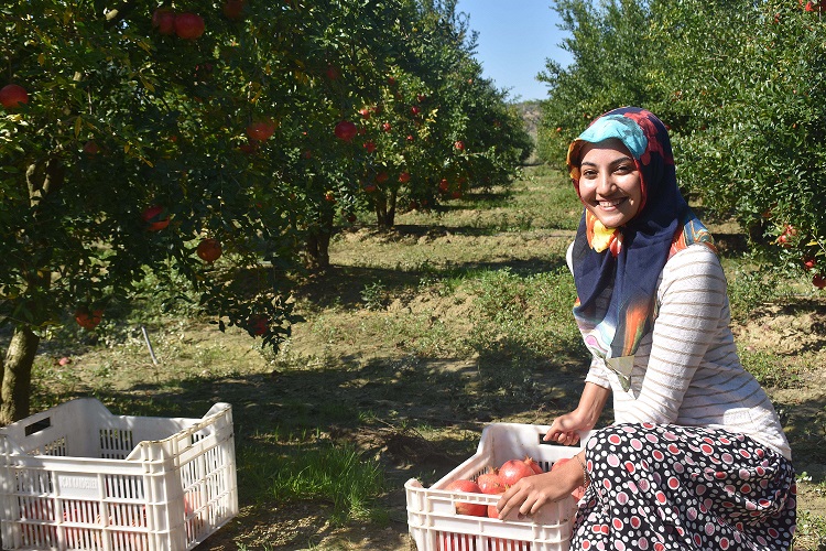 İhracatın yaşam pı’Nar’ı