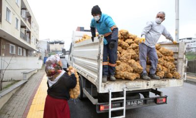 Nilüfer Belediyesi’nden patates üreticilerine destek