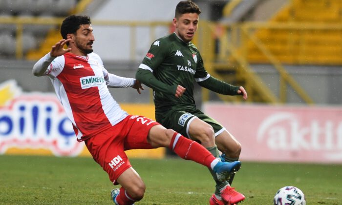Timsah Bolu’da dondu