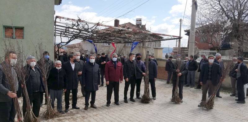 Bursa’da dağ ilçeleri meyvecilikle kalkınacak