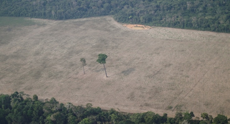 Rapor: Dünya’daki ekosistemlerin yalnızca yüzde 3’ü bozulmadan kaldı