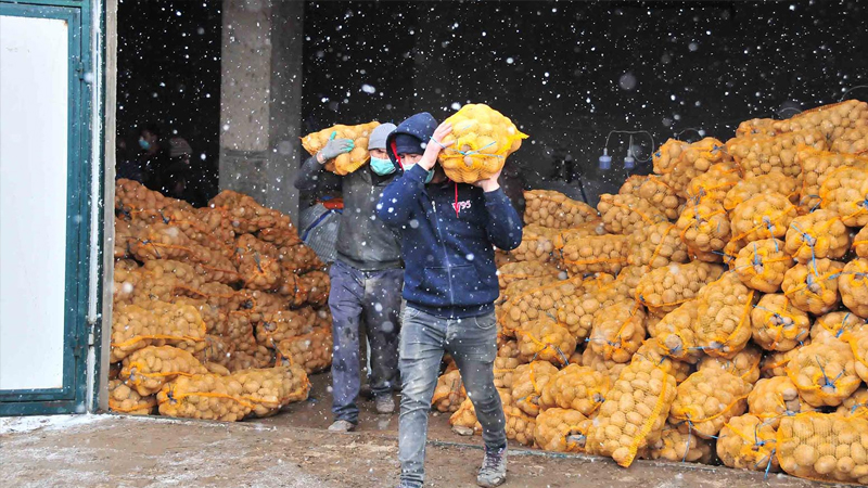 Nisan ayının zam şampiyonları patates ve soğan oldu