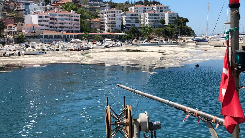 Marmara’da deniz salyasına karşı ortak mücadele