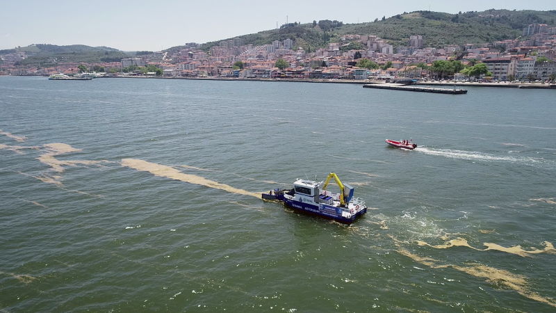 Mudanya’da deniz salyası temizleme çalışmaları başladı