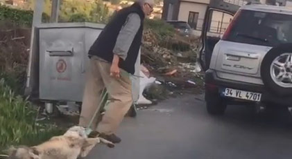 Bunun adı canilik: Köpeğini silahla öldürdü, çöpe atmaya kalktı