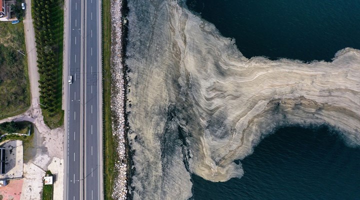 CHP’den deniz salyası krizi için Meclis araştırması talebi