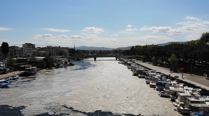 31 belediyeden ‘deniz salyası’ çağrısı