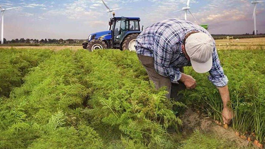 Sigortasız çiftçiye kuraklık desteği Afet Fonu’ndan yapılacak