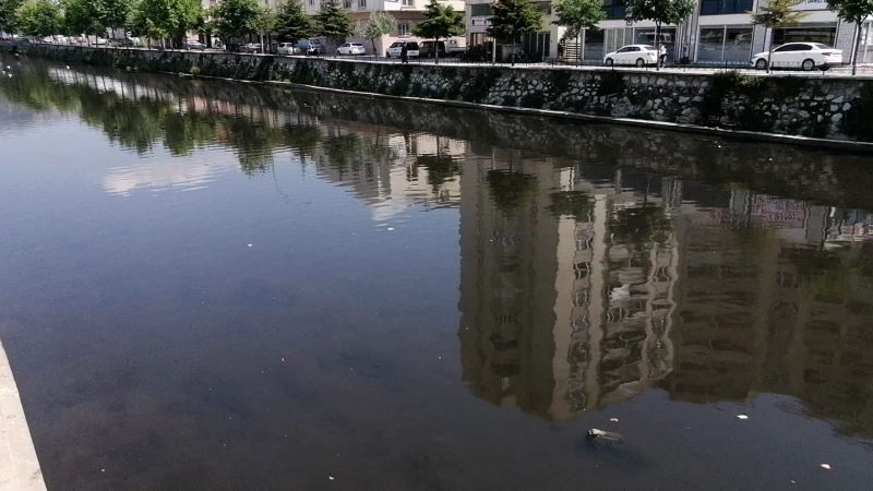 Bursa’nın ölü akarsuları