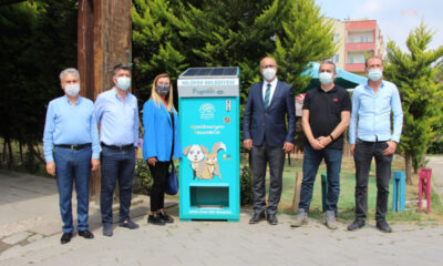 Nilüfer Belediyesi’nden sokak hayvanları için beslenme otomatları