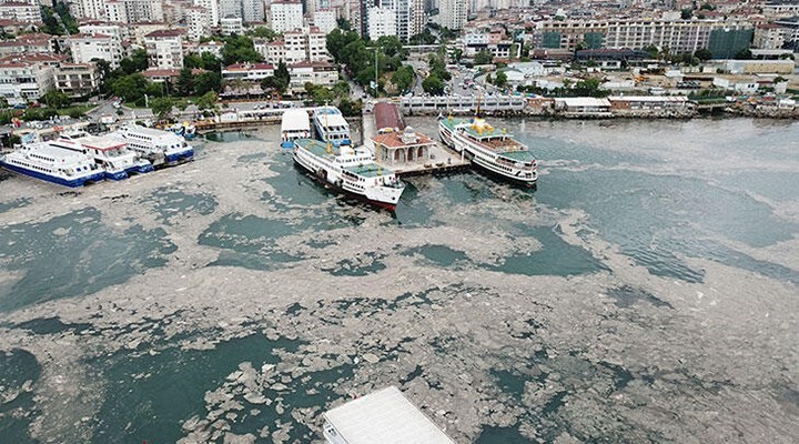 Marmara Denizi’nde çözünmüş oksijen bitmek üzere