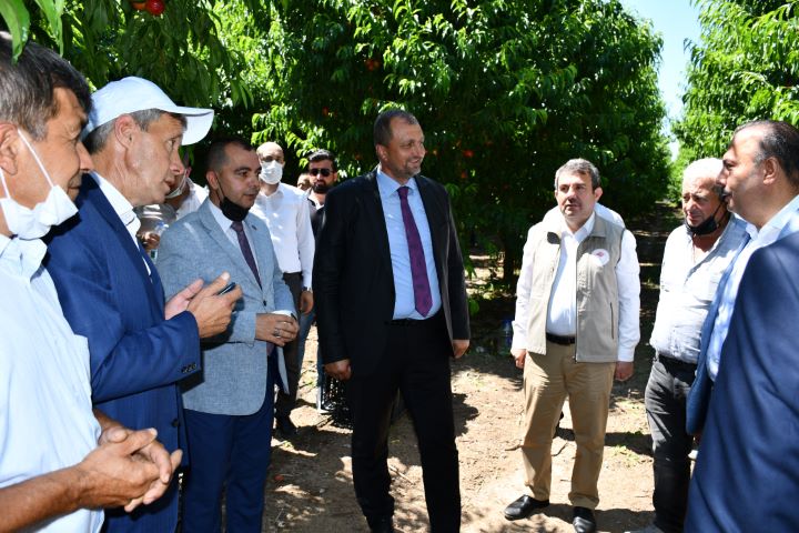 İznik’te nektarin hasadı şenlik ile başladı