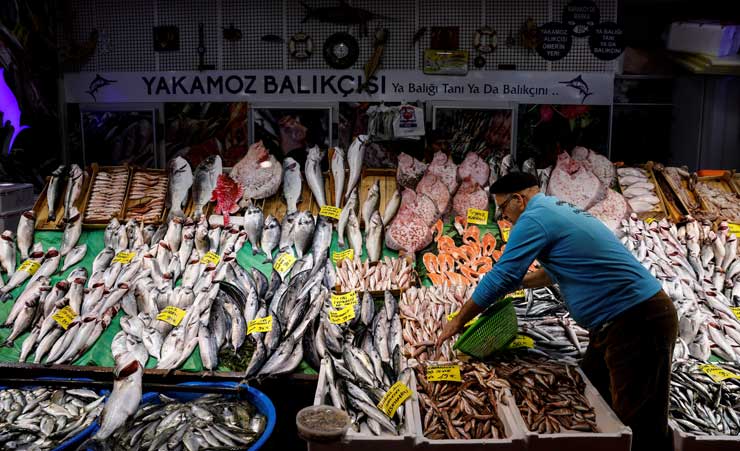 ‘Müsilaj zehirsiz’ açıklaması inandırıcı olmadı: Balık satışları daha da düştü