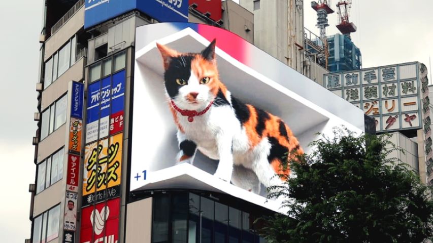 Tokyo’nun yeni gözdesi 3 boyutlu dev bir kedi