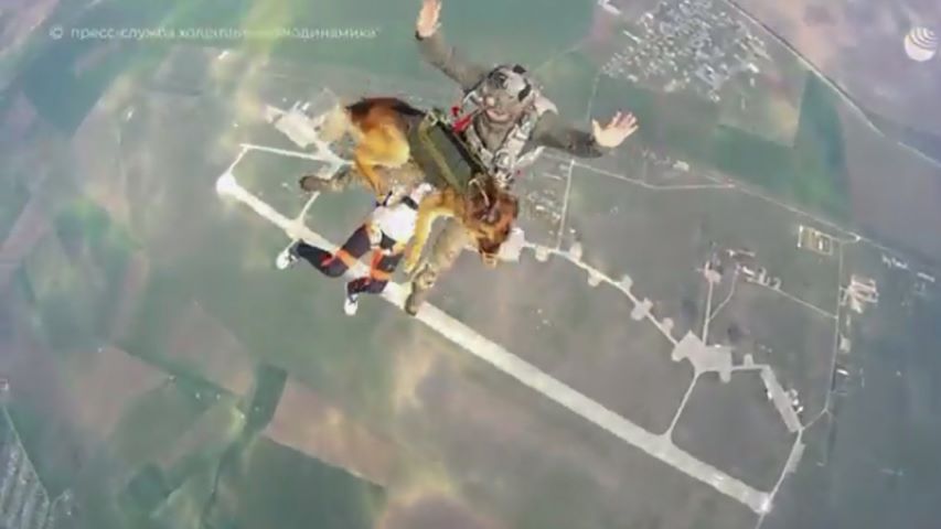 Rusya, köpekler için geliştirilen paraşüt sistemini denedi