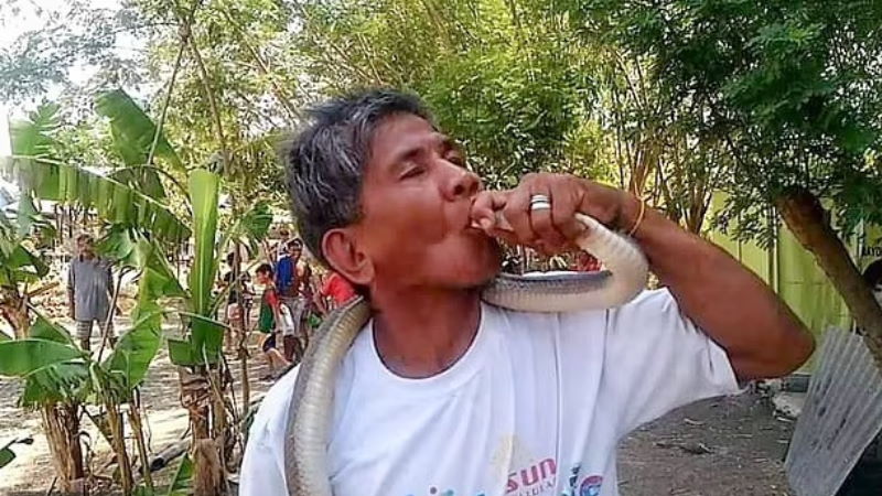 “Zehre bağışıklığım var” diyen yılan uzmanı, kobrayı öpmeye çalışırken öldü