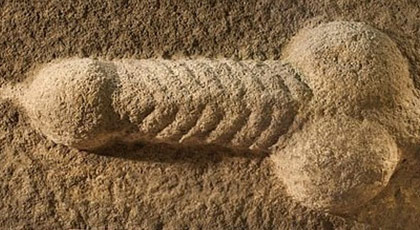 2 bin yıllık taş oyması penis heykeli bulundu