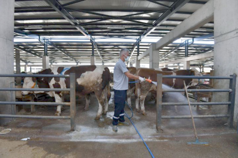 Bursa’da kurban yerlerinde karasinek mücadelesi