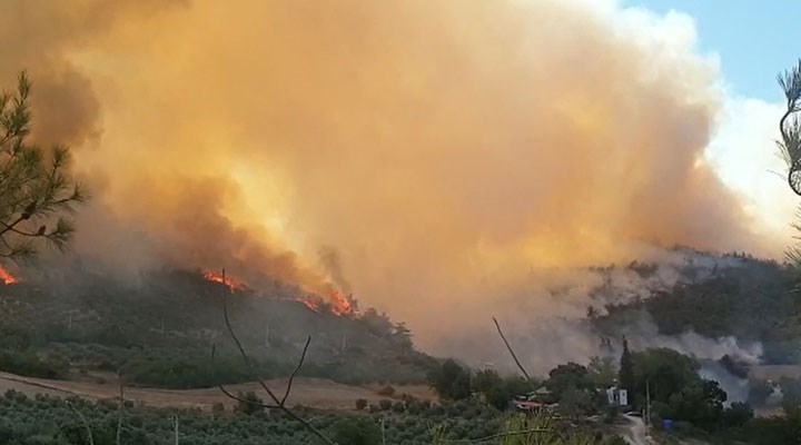 Osmaniye’deki yangınla ilgili 5 gözaltı