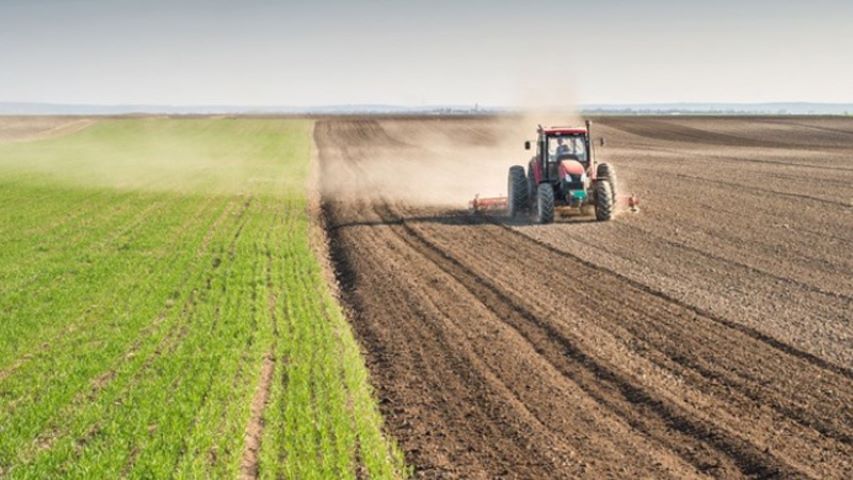 Sudan, Türkiye’ye 100 bin hektar tarım arazisi tahsis etti